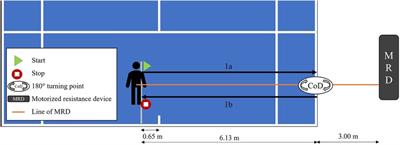 Relevance of force-velocity and change of direction assessments for the ranking position in elite junior tennis players